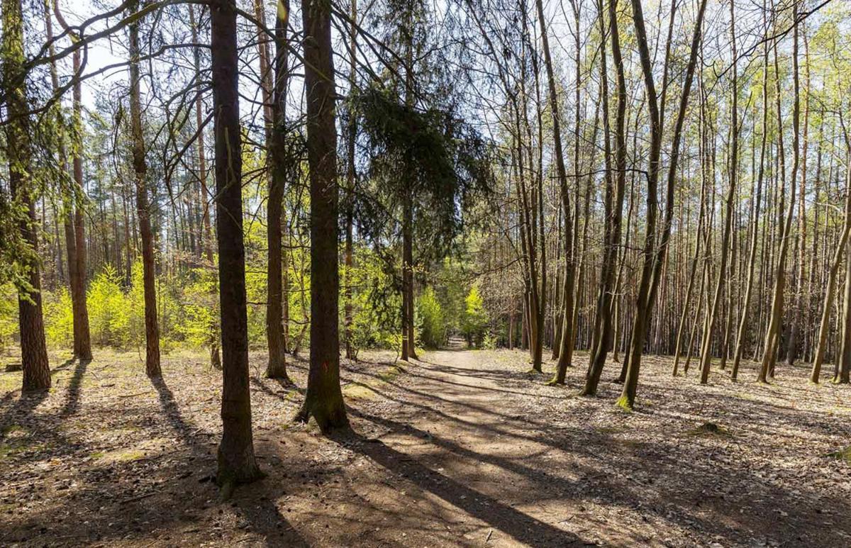 Laskara Garden Apartment By Prague Forest Nové Jirny 외부 사진